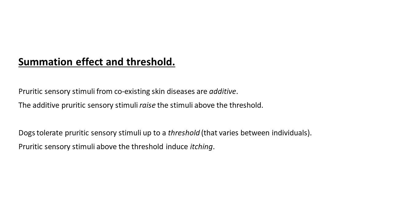 Pruritic_Dog_Webinar_Slide_06.jpg